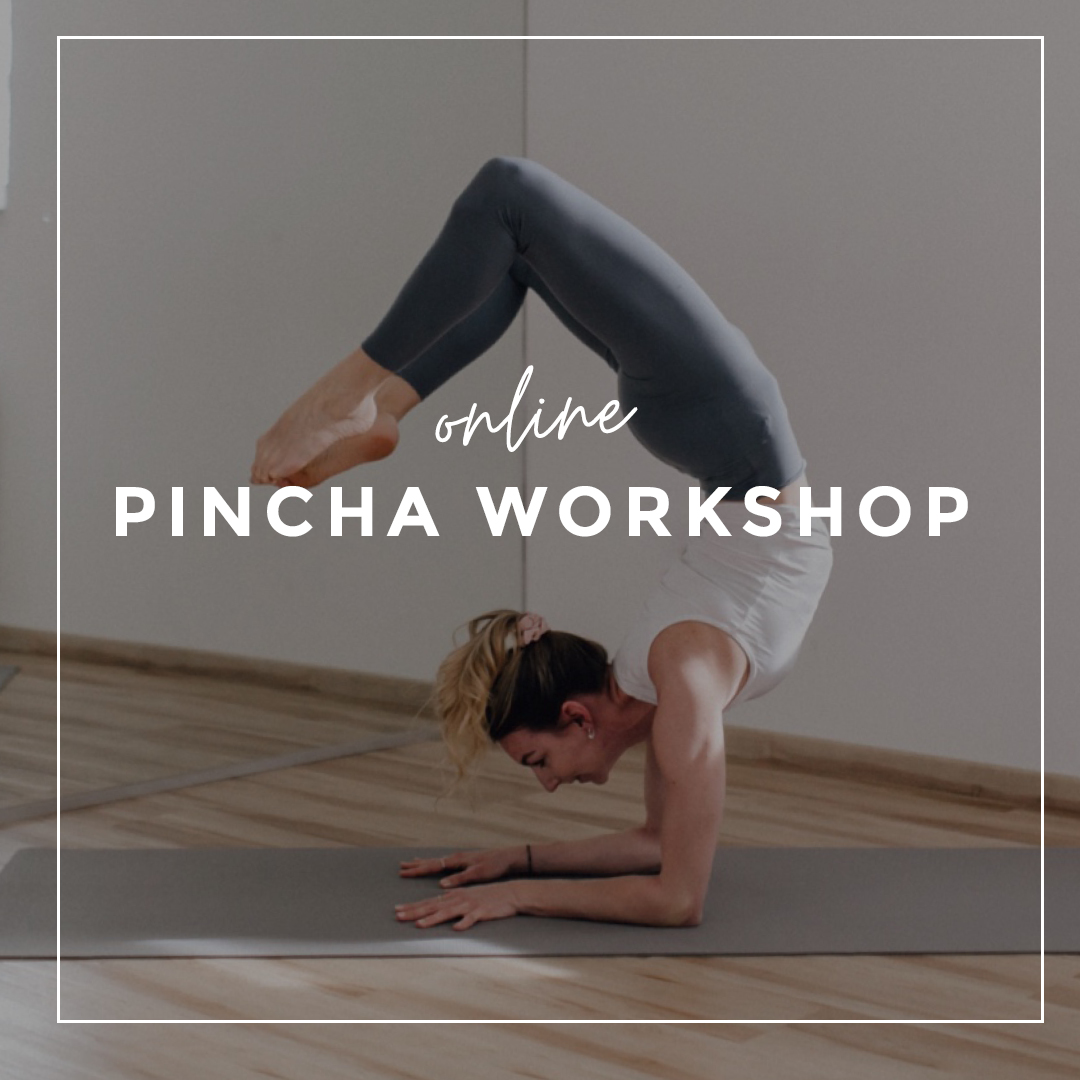 Pincha Workshop